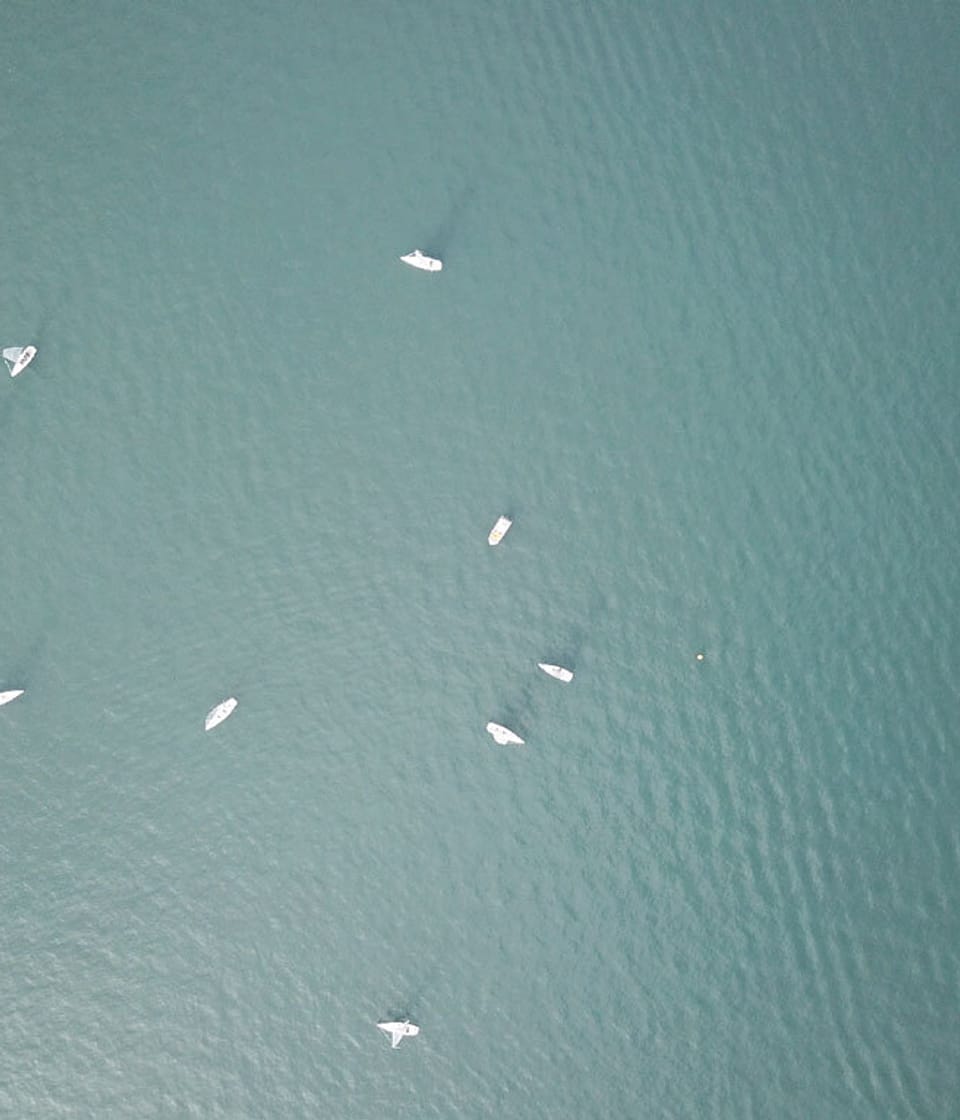 Esseboats beim thalwil cup 2017