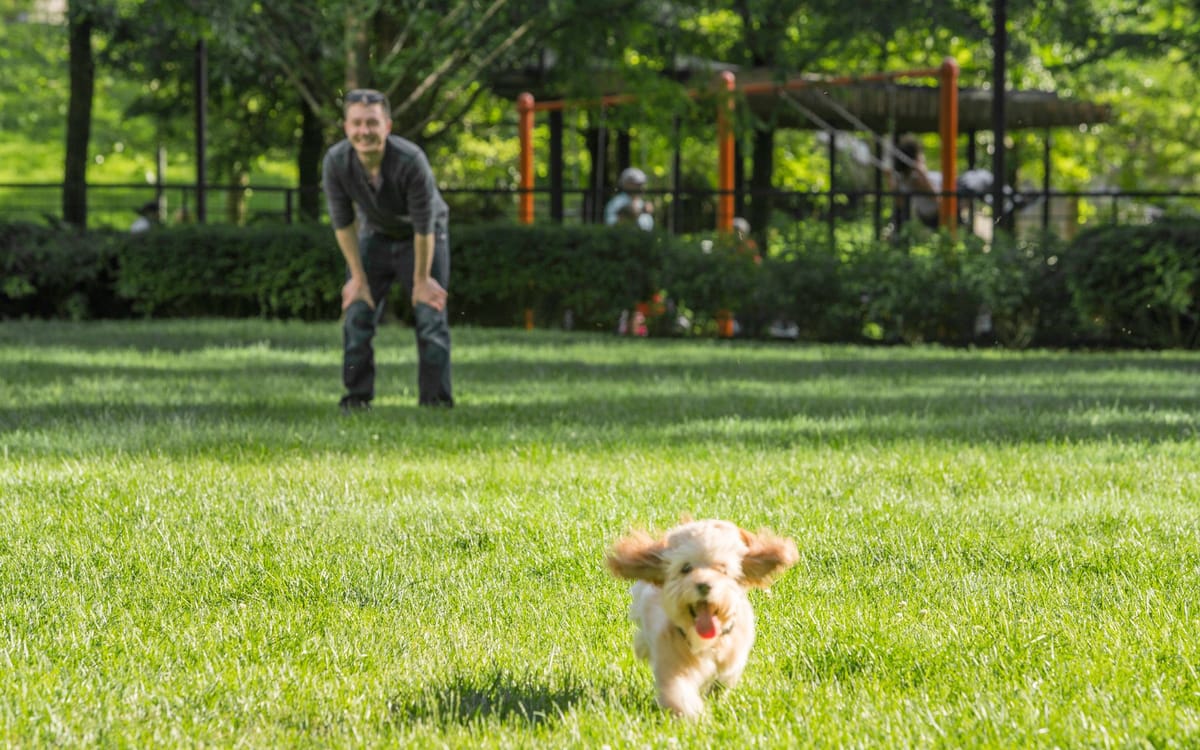 Pet-Friendly Features and Family-Focused Recreation