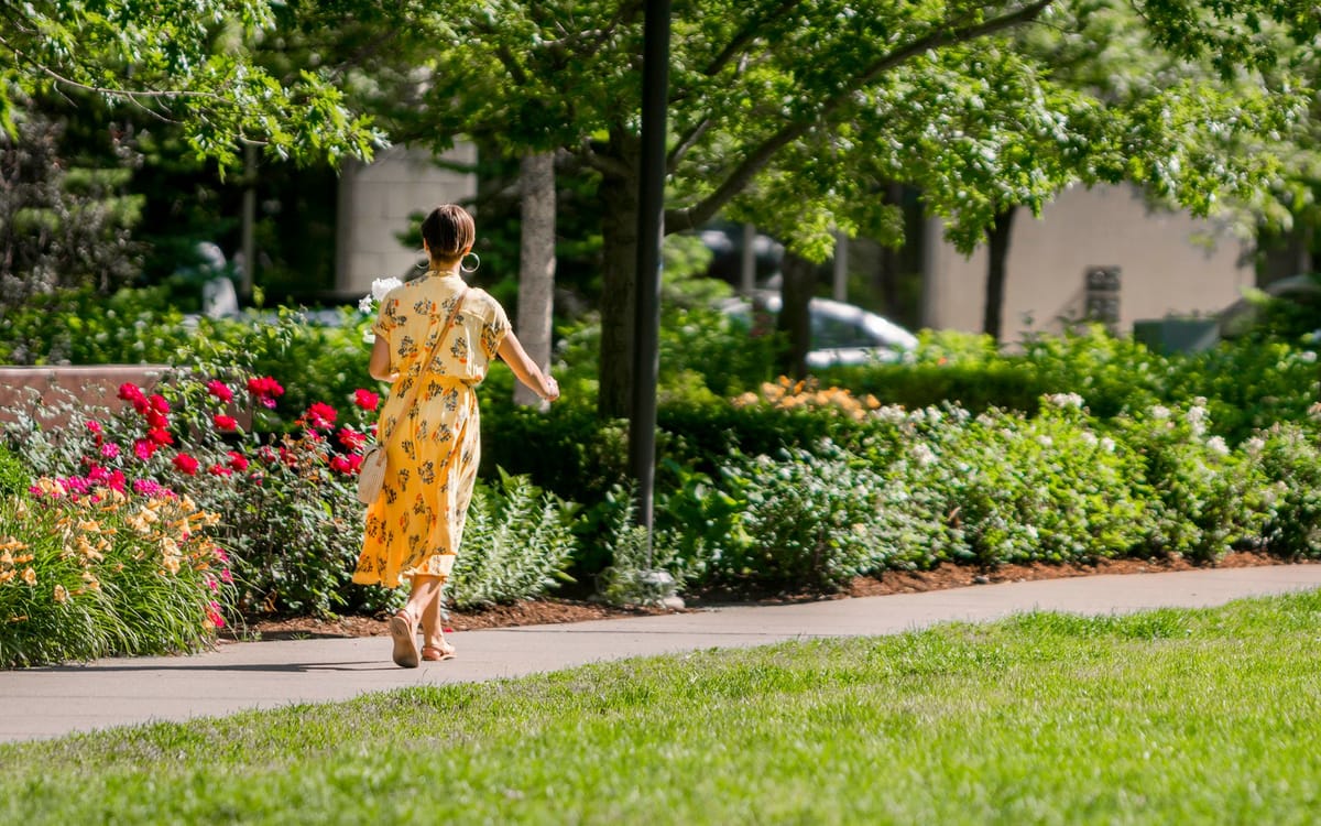 Natural Elements and Urban Greenery