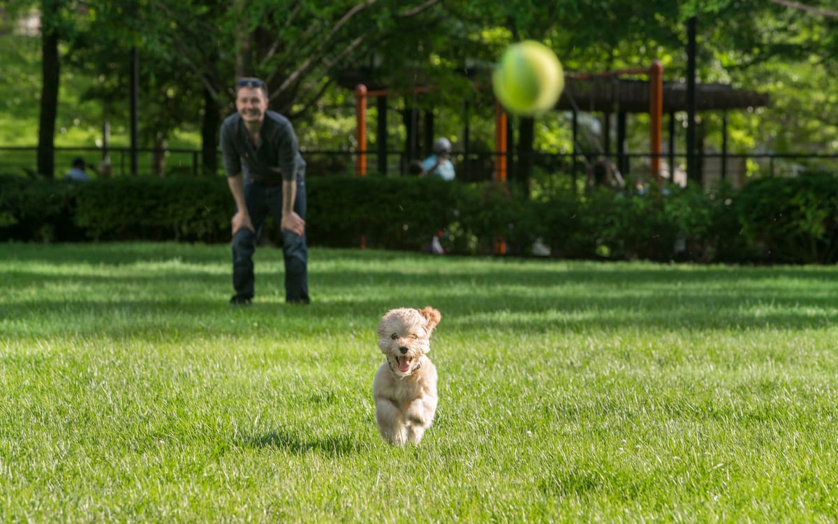 Embrace Breezy Green Spaces