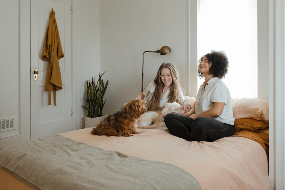 Pet-Inclusive Luxury: More Than Just a Policy