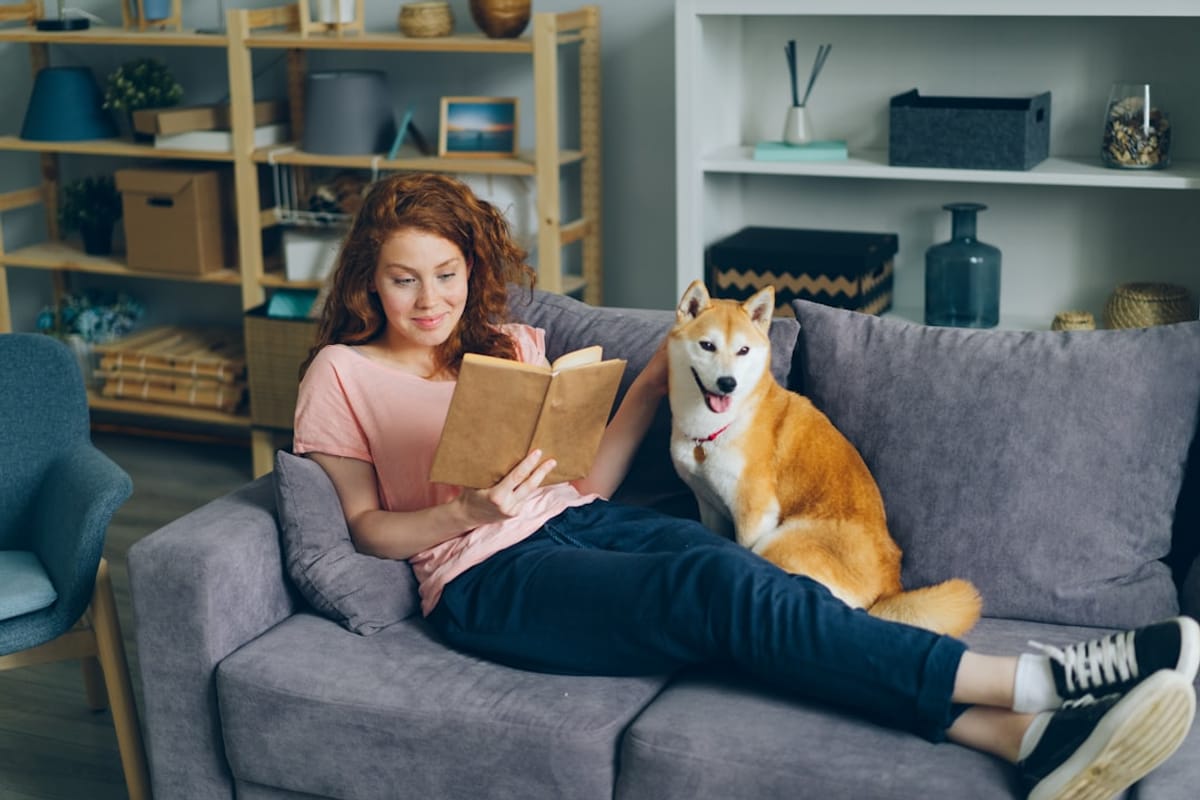 Pet Health, Comfort & Wellness at Atlas Blue Hill