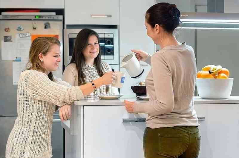 Language practice in a home setting with host family.