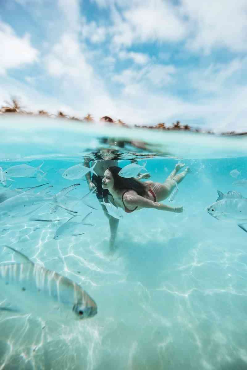 Snorkeling in crystal-clear waters with schools of fish.