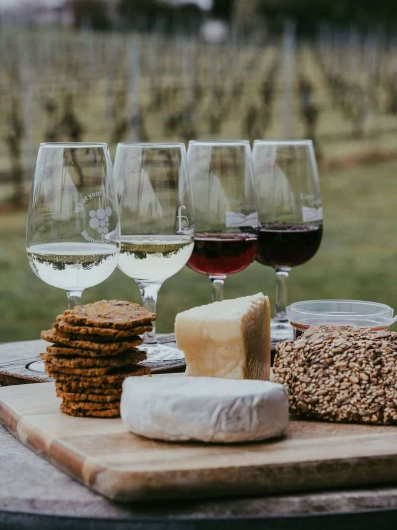 Wine tasting experience with cheese, crackers abroad, enhancing language immersion.