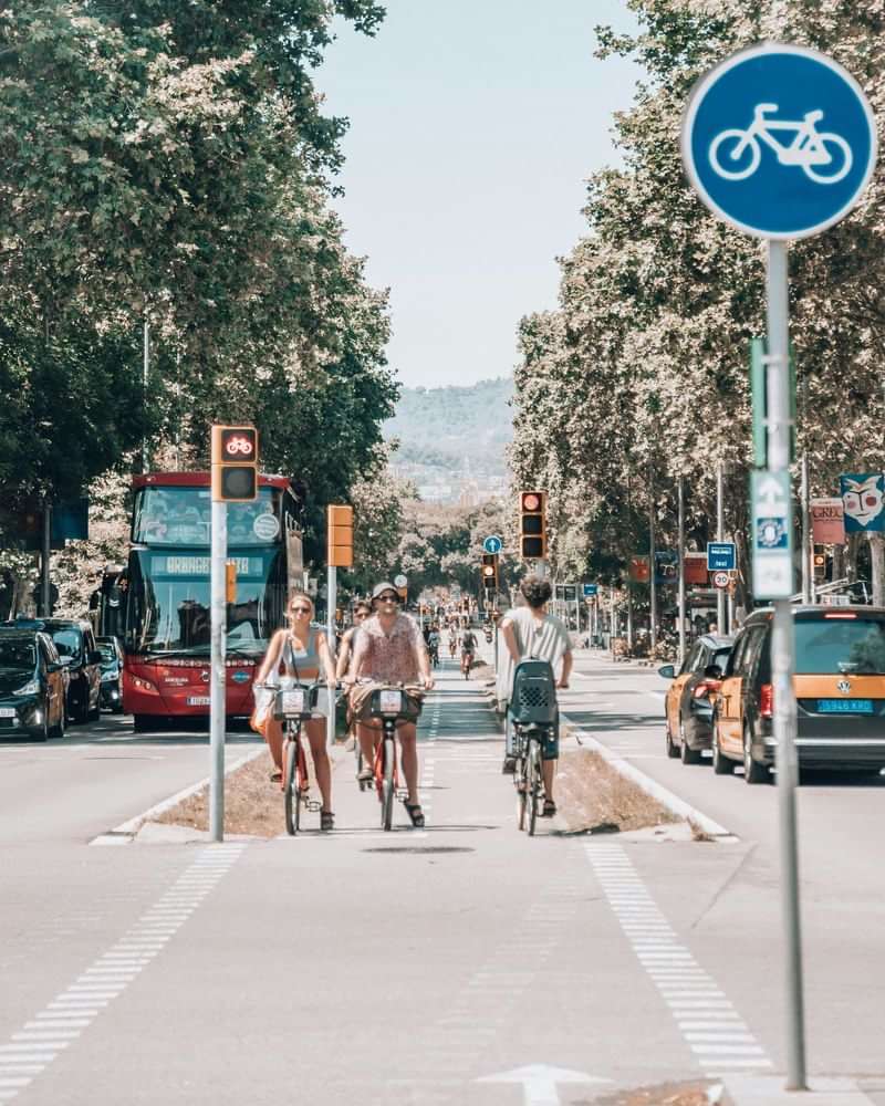 Cyclists on dedicated bike path in a bustling urban street.