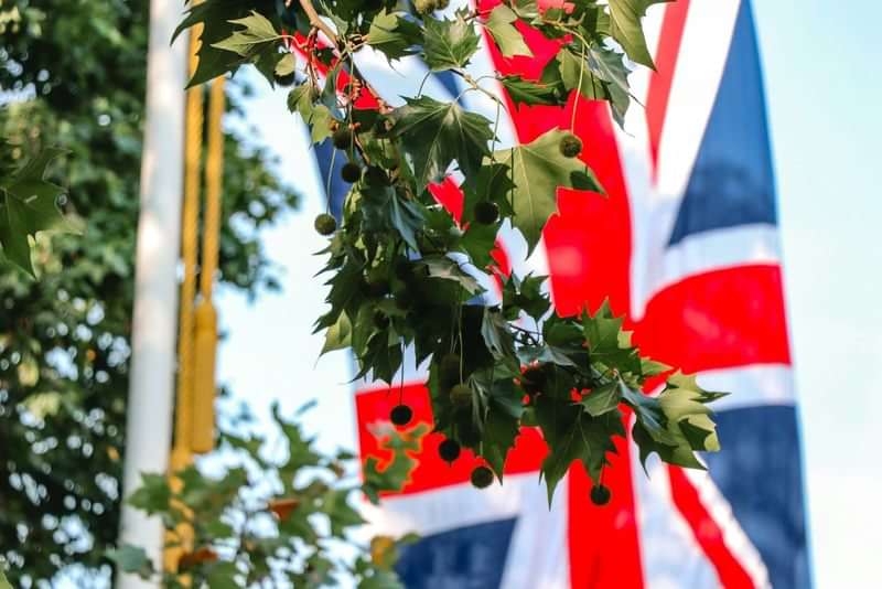 Een Britse vlag tussen bladeren, symbool voor reizen naar Engeland.