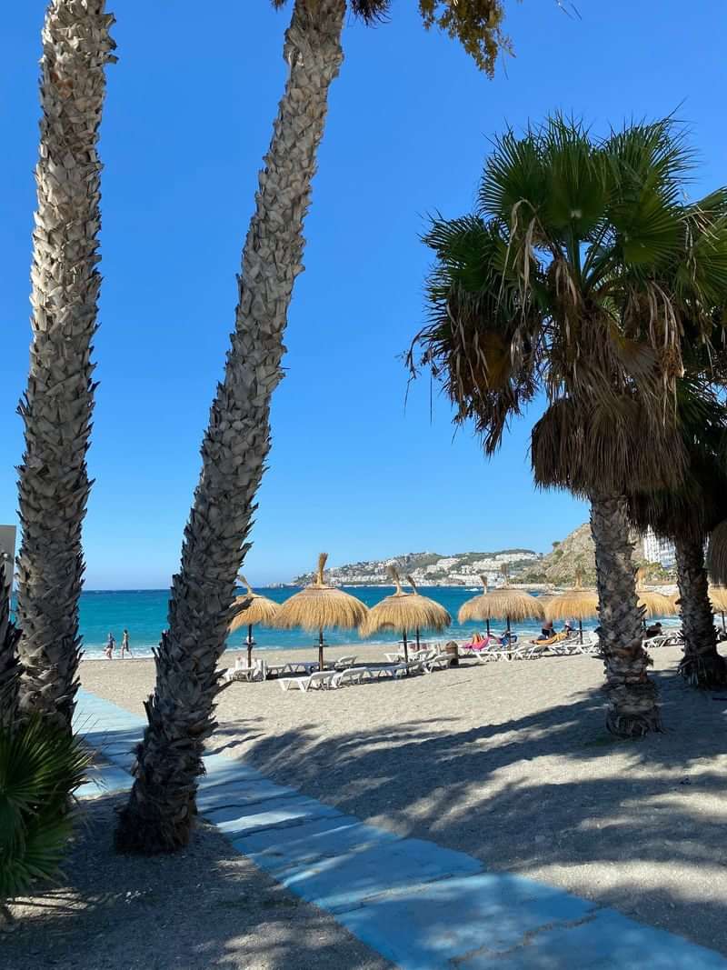 Strand met palmbomen, ligstoelen en parasols aan een zonnige kust.