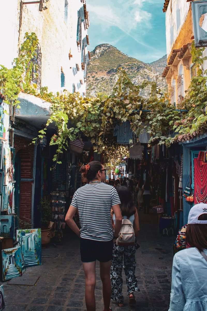 A traveler exploring a quaint, vine-covered alleyway filled with shops.
