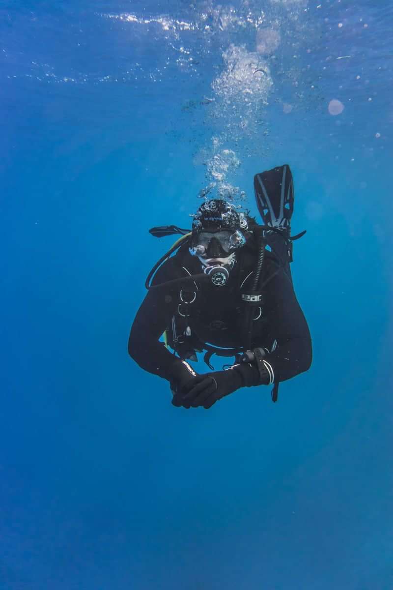 An underwater diver exploring marine life, perhaps learning aquatic terminology and phrases.