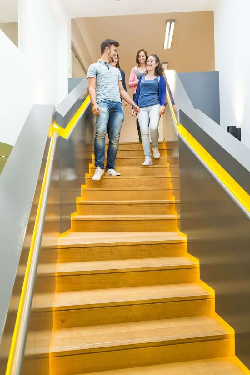 People descending stairs in a modern language school or travel center.