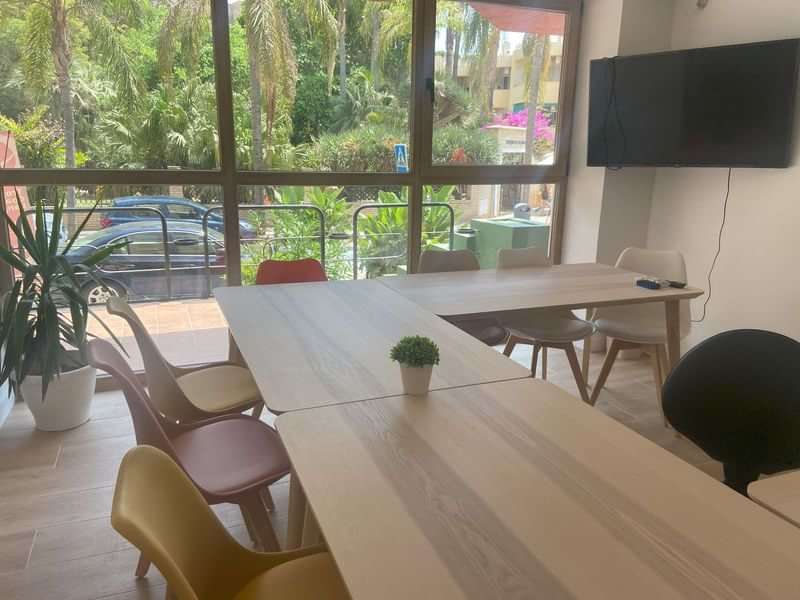 Bright language travel meeting room with chairs, tables, TV, and plants.