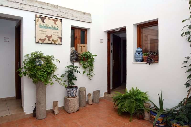 Courtyard of a language school with plants and local decor.