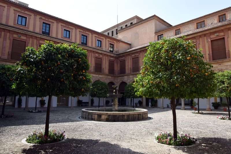 Picturesque courtyard with lush orange trees, ideal for immersive language learning.