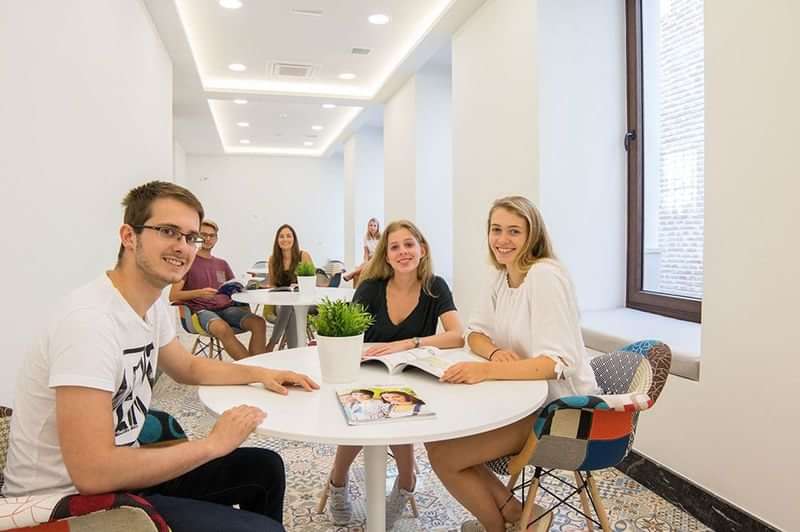 Students studying together in a language school common area, bright and inviting.
