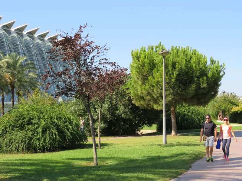 Two people walking in a scenic park, greenery and modern architecture.