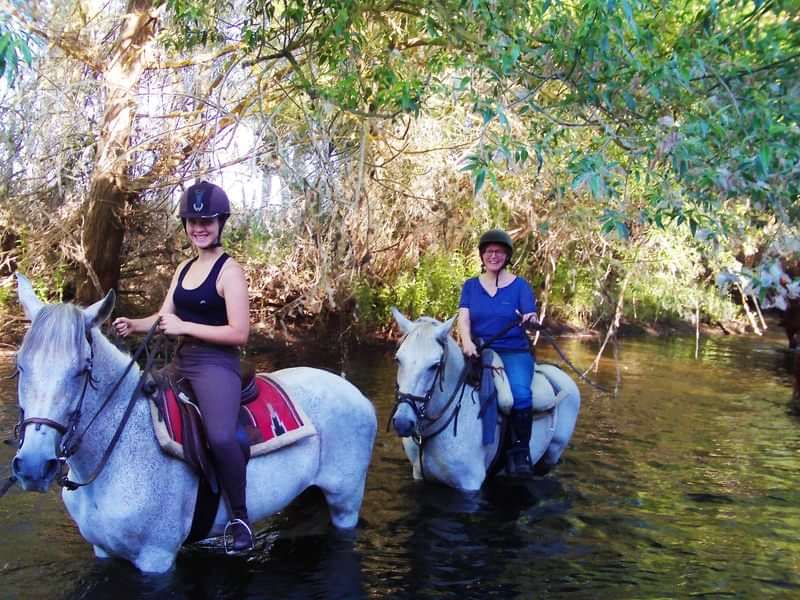 Horseback riders exploring a lush, water-filled trail in nature.