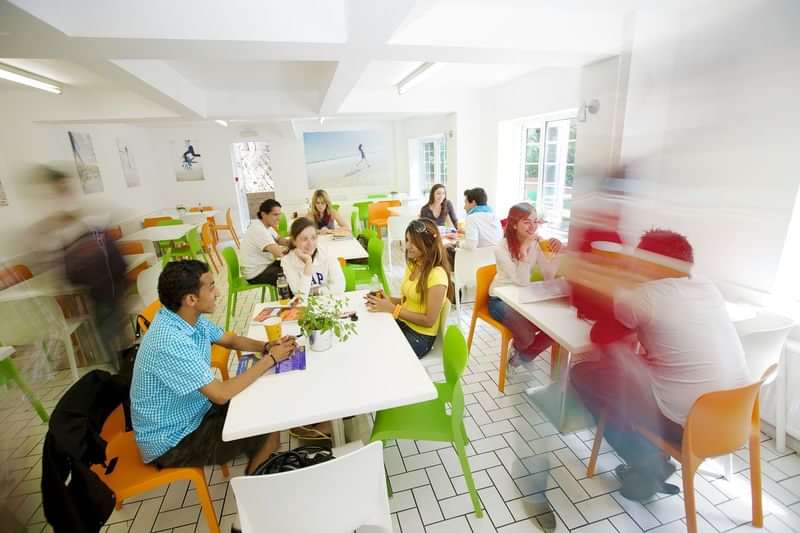 Students interacting and studying in a bright, communal dining area.