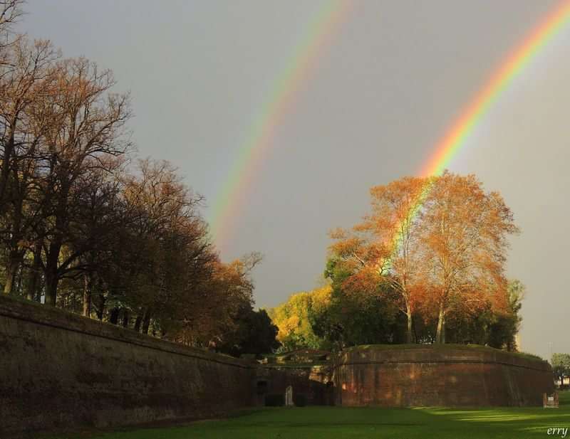 Double rainbow over autumn trees on a language immersion trip.