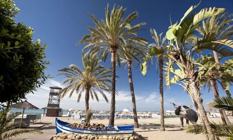 Beach with palm trees, lifeguard tower, boat, and elephant statue.