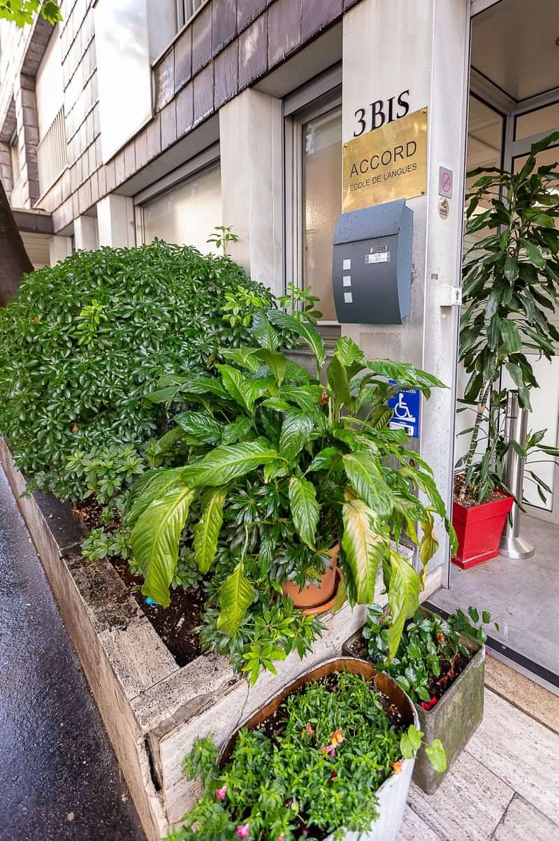 Language school entrance with plants outside, labeled "Accord École de Langues".