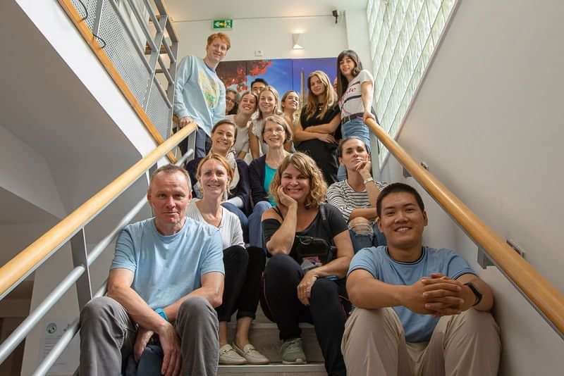 Group of language students posing on stairs in school or institute.