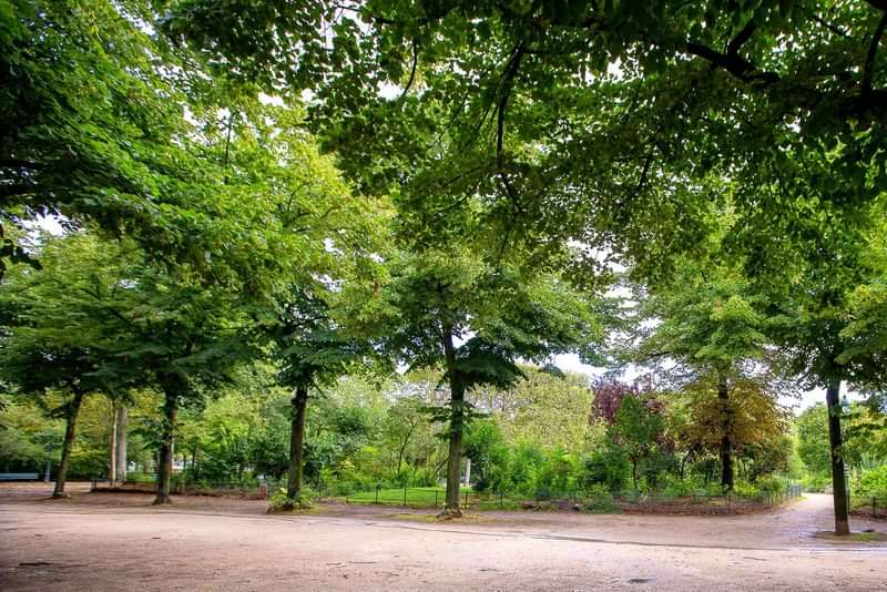 Een rustige park met groene bomen voor een ontspannen wandeling.