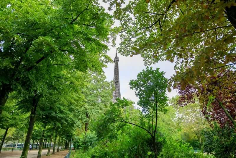 Eiffeltoren zichtbaar tussen groene bomen in een park, Parijs.
