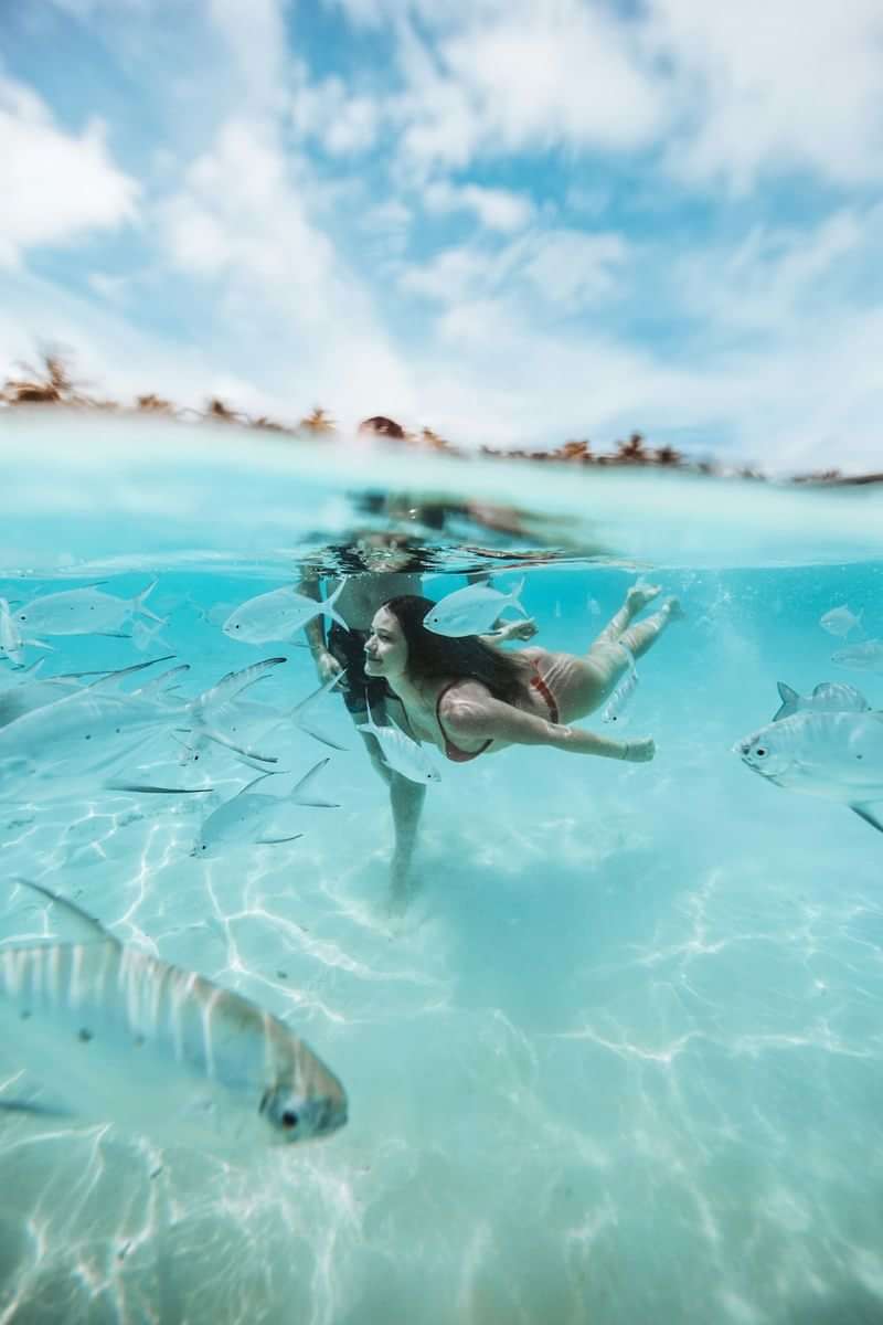 Zwemmen met vissen in helder blauw water tijdens een vakantie.