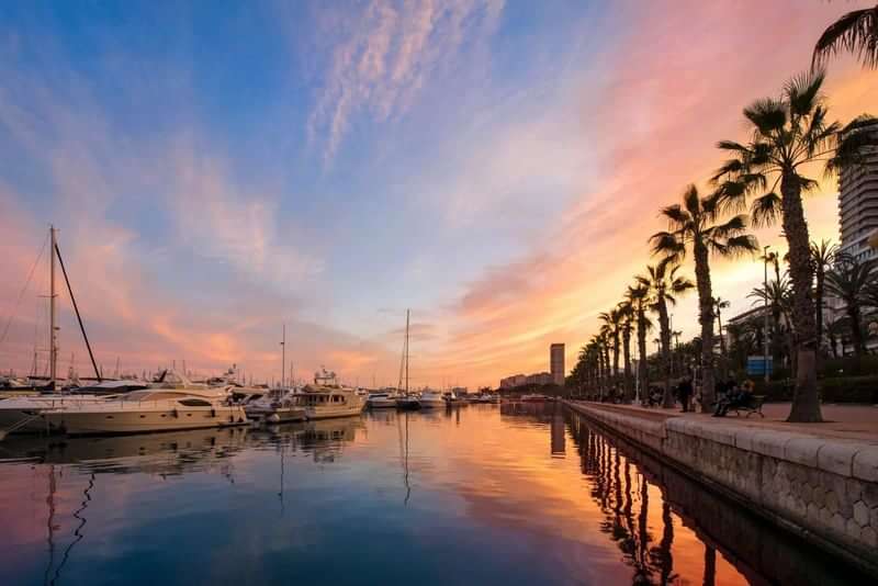 Sunset marina, palm trees, docked yachts, ideal for serene language learning.