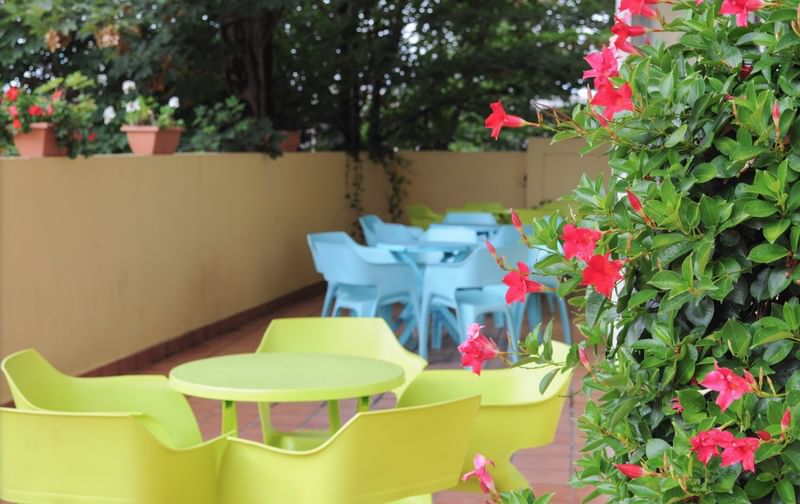 Outdoor café seating, vibrant chairs, lush greenery, relaxed atmosphere, perfect for language practice.