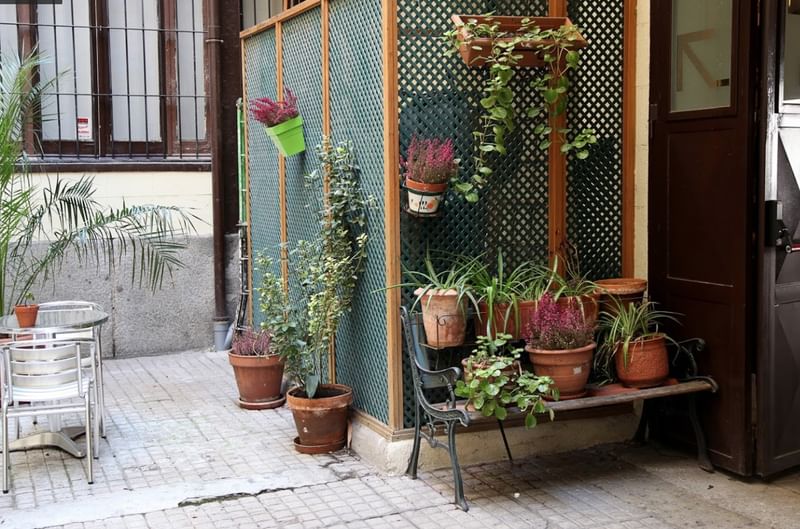 Cozy courtyard café with potted plants and seating area.