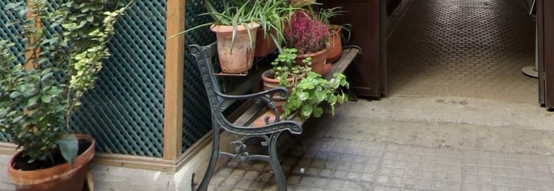 Outdoor scene with a bench and potted plants in a courtyard.