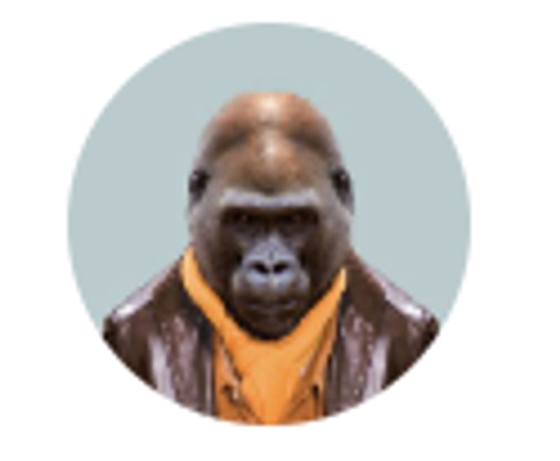 Een gorilla draagt een jas en sjaal, een grappige reisimpressie.