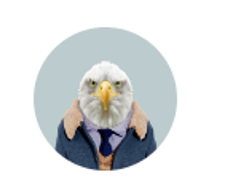 An eagle in a suit representing a metaphorical formal travel guide.