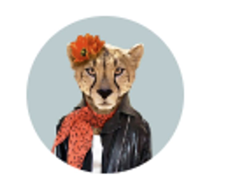 Elegant cheetah met hoed en sjaal, gereed voor wereldreis.