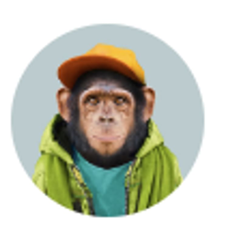 A chimpanzee wearing clothes and a cap, representing a unique traveler.