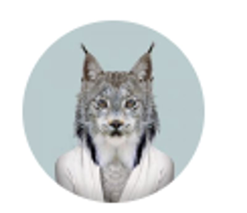 A stylized lynx wearing clothes, possibly symbolizing language travel or guide.