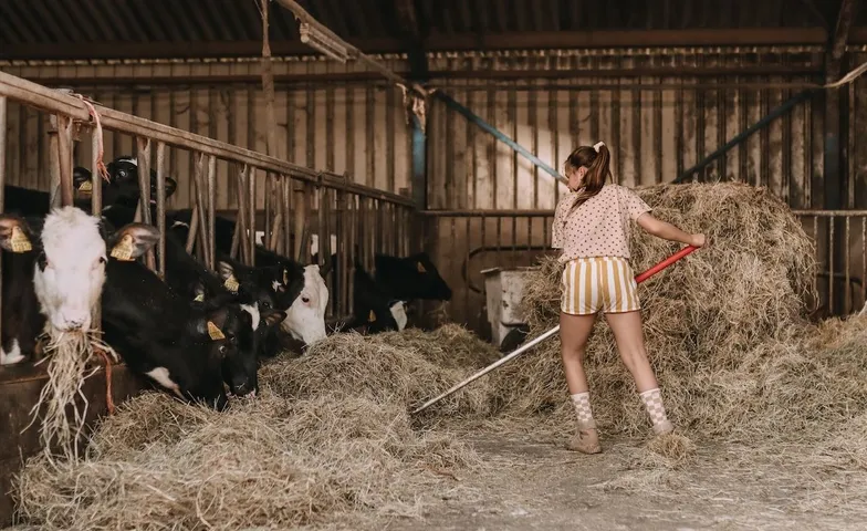 Ontdek de boerderijen🐮🐴🐔