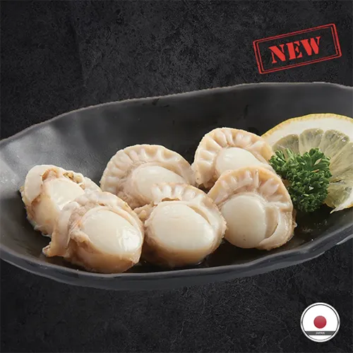 หอยเชลล์ญี่ปุ่น