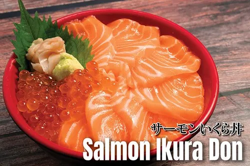 Salmon Ikura Don