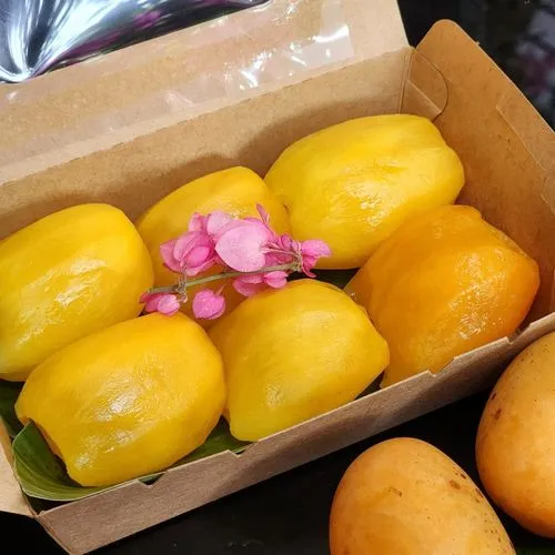 Mayong Chid 6 Pcs. Ready To Eat