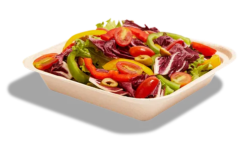 Garden Salad Large
