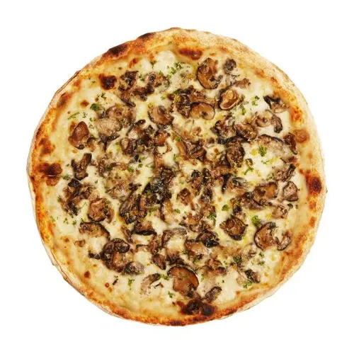 Roasted Mushroom 15˝