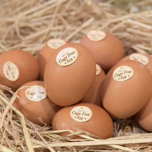 ซีพี ไข่ไก่ เคจฟรี 1 ฟอง