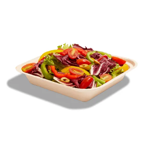 Garden Salad Regular