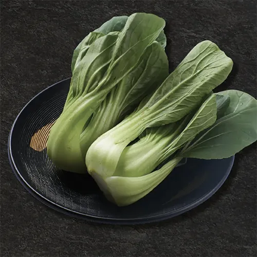 กวางตุ้ง ไต้หวัน