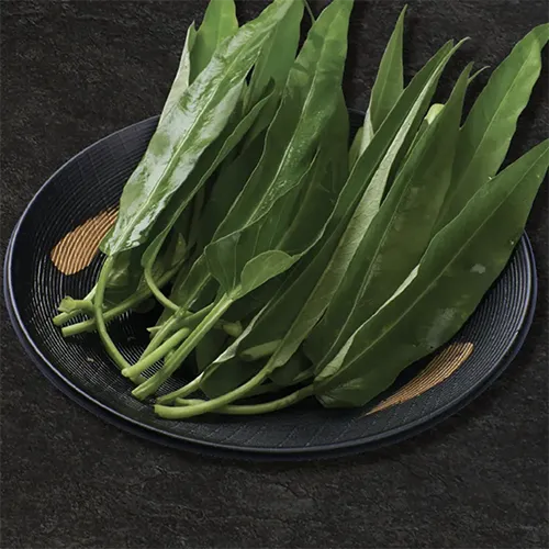 ผักบุ้งจีน