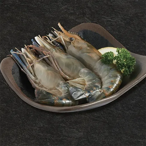 กุ้งแม่น้ำ