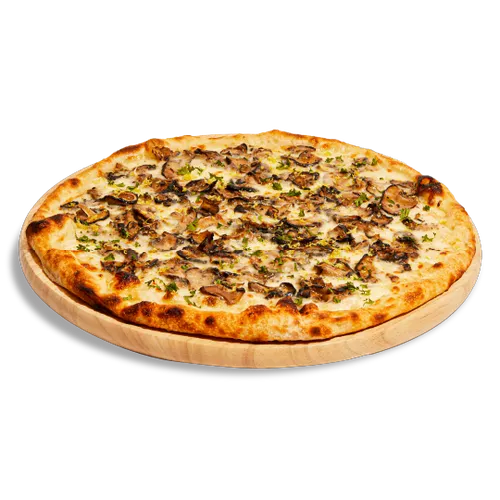 Roasted Mushroom 12˝